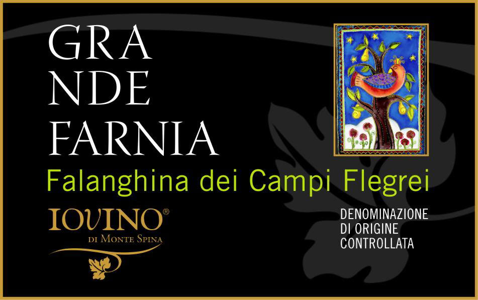 Falanghina Grande Farnia 2011
