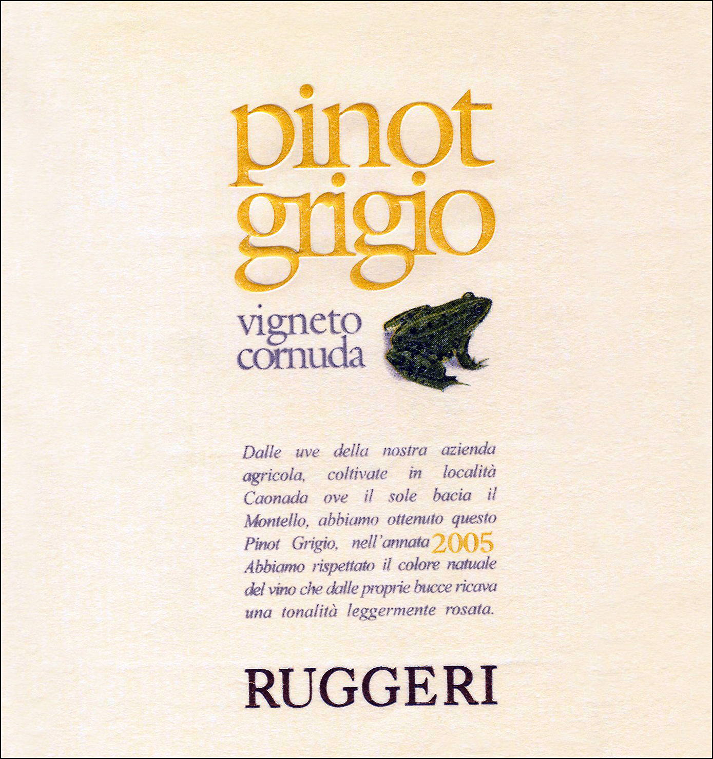 Pinot Grigio Vigneto Cornuda 2008