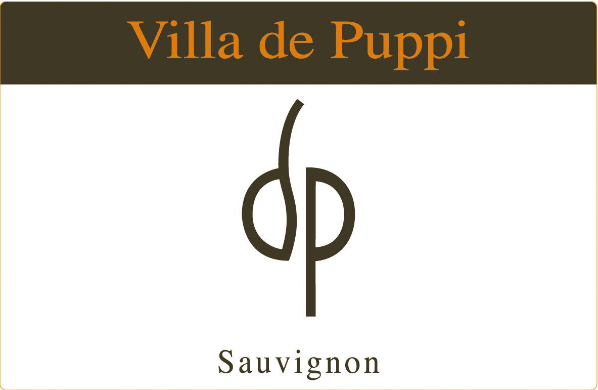 Sauvignon 2011