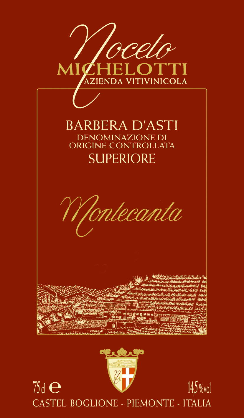 Barbera d'Asti Superiore Montecanta 2005
