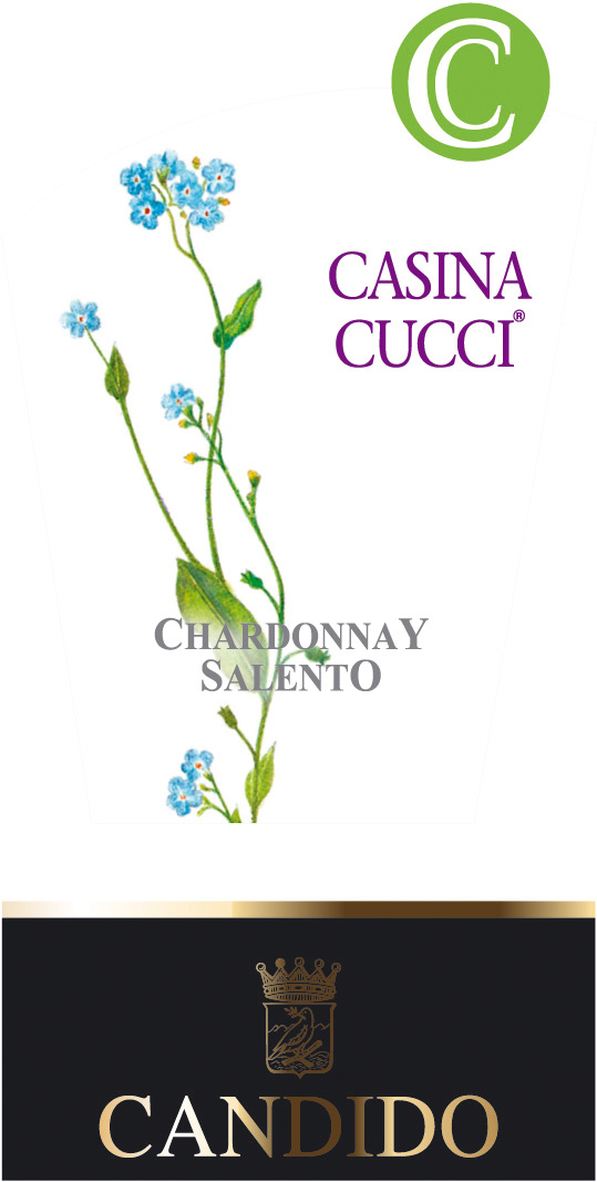 Casina Cucci Bianco 2011
