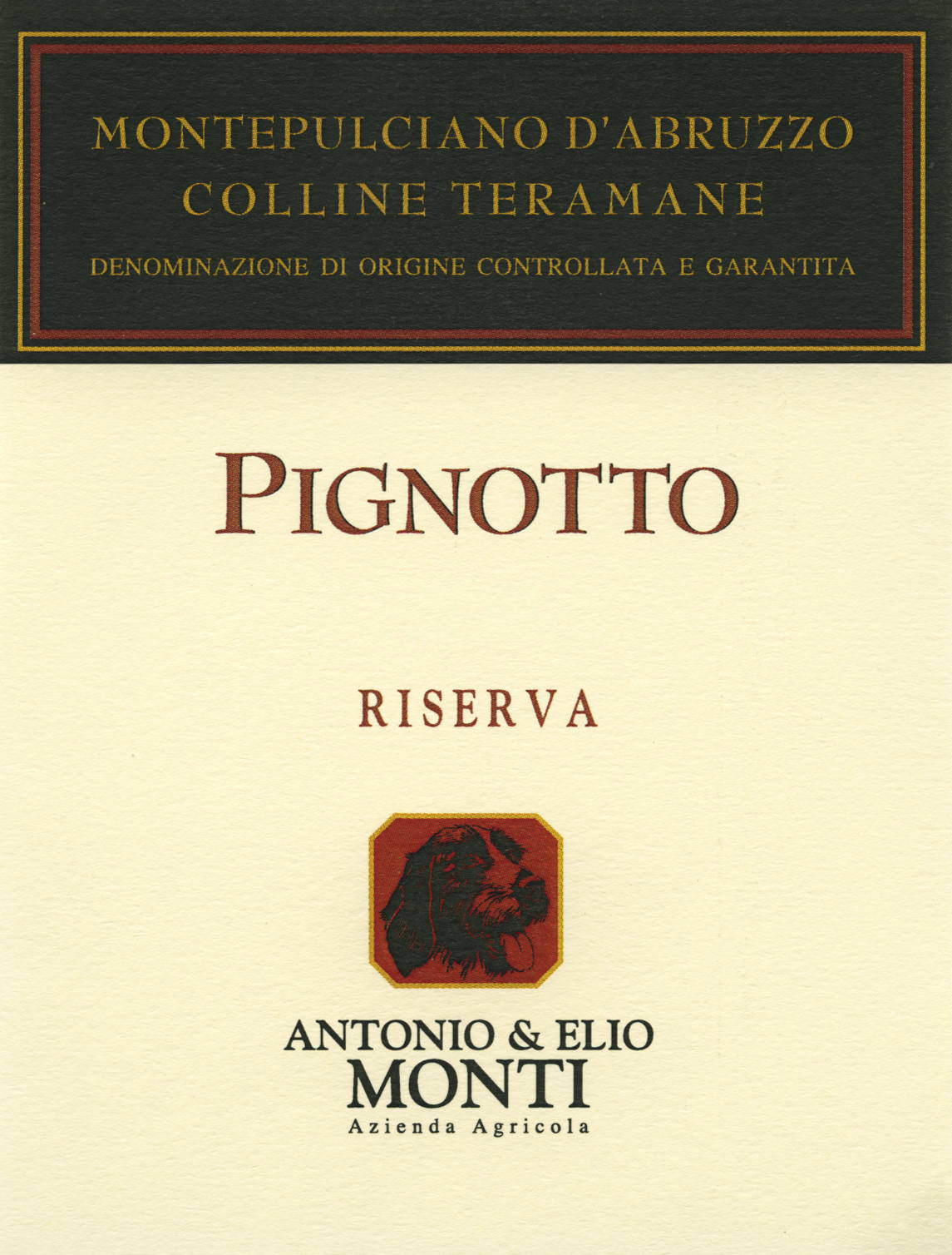 Montepulciano d'Abruzzo Pignotto Riserva 2008