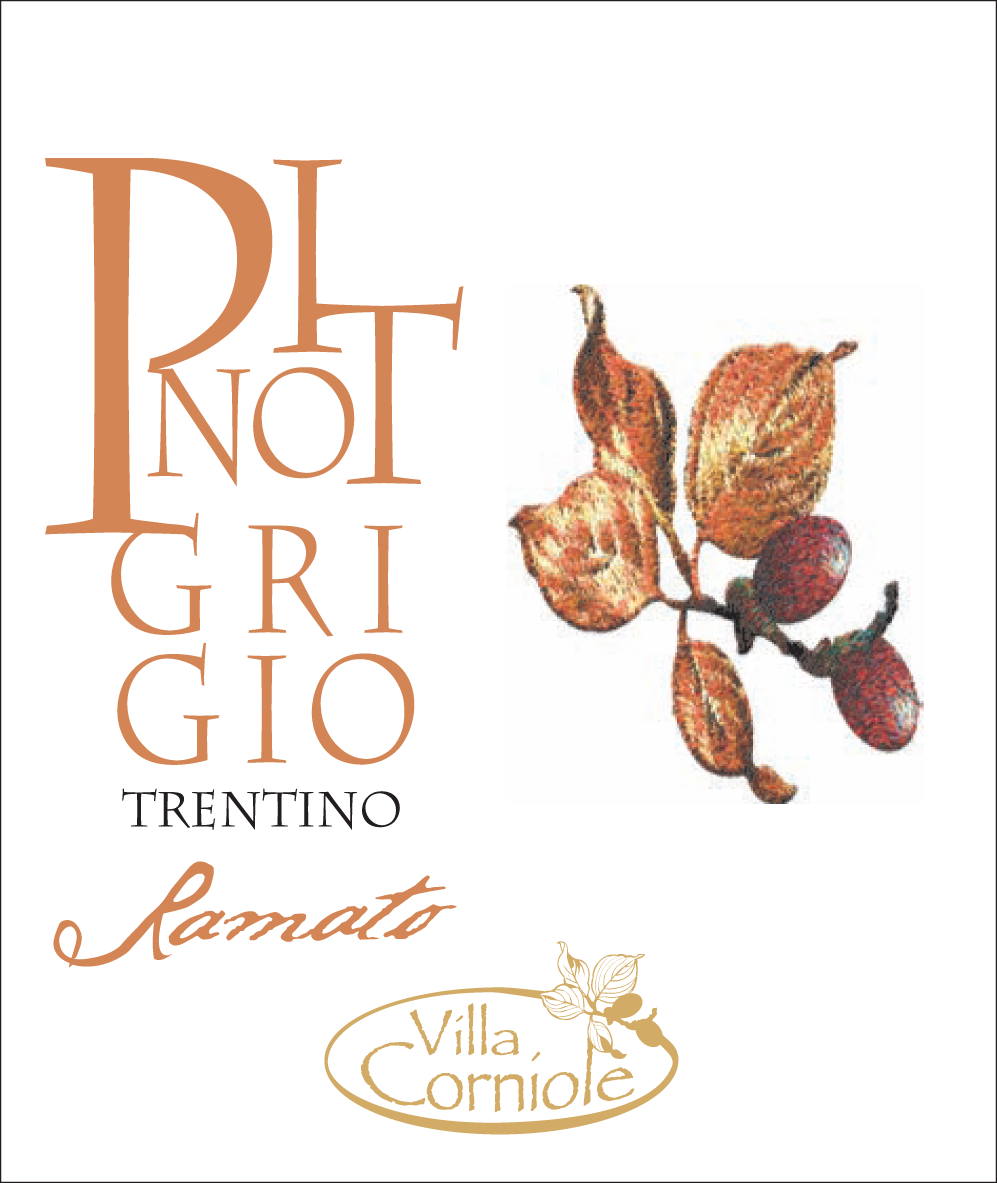 Pinot Grigio Ramato Trentino Doc 2019