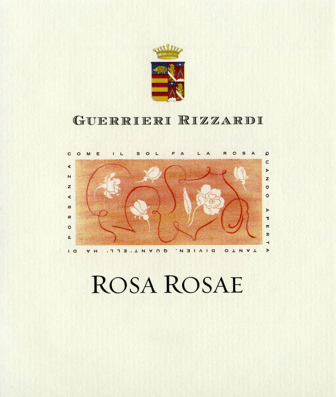 Rosa Rosae 2012
