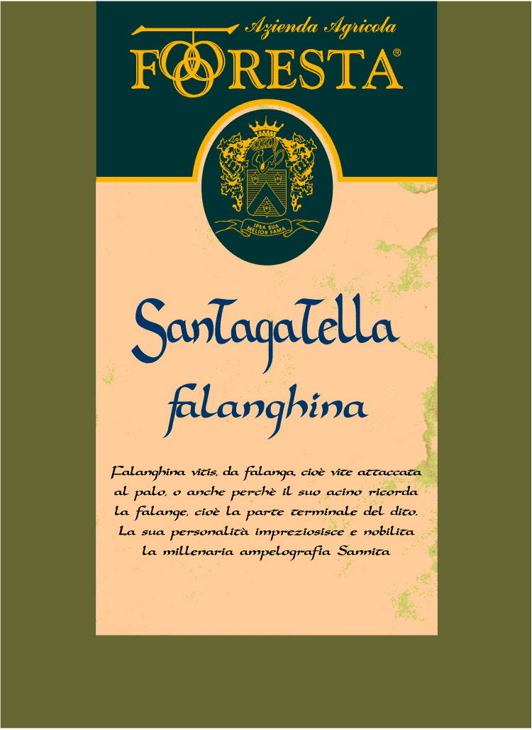Falanghina Santagatella 2007
