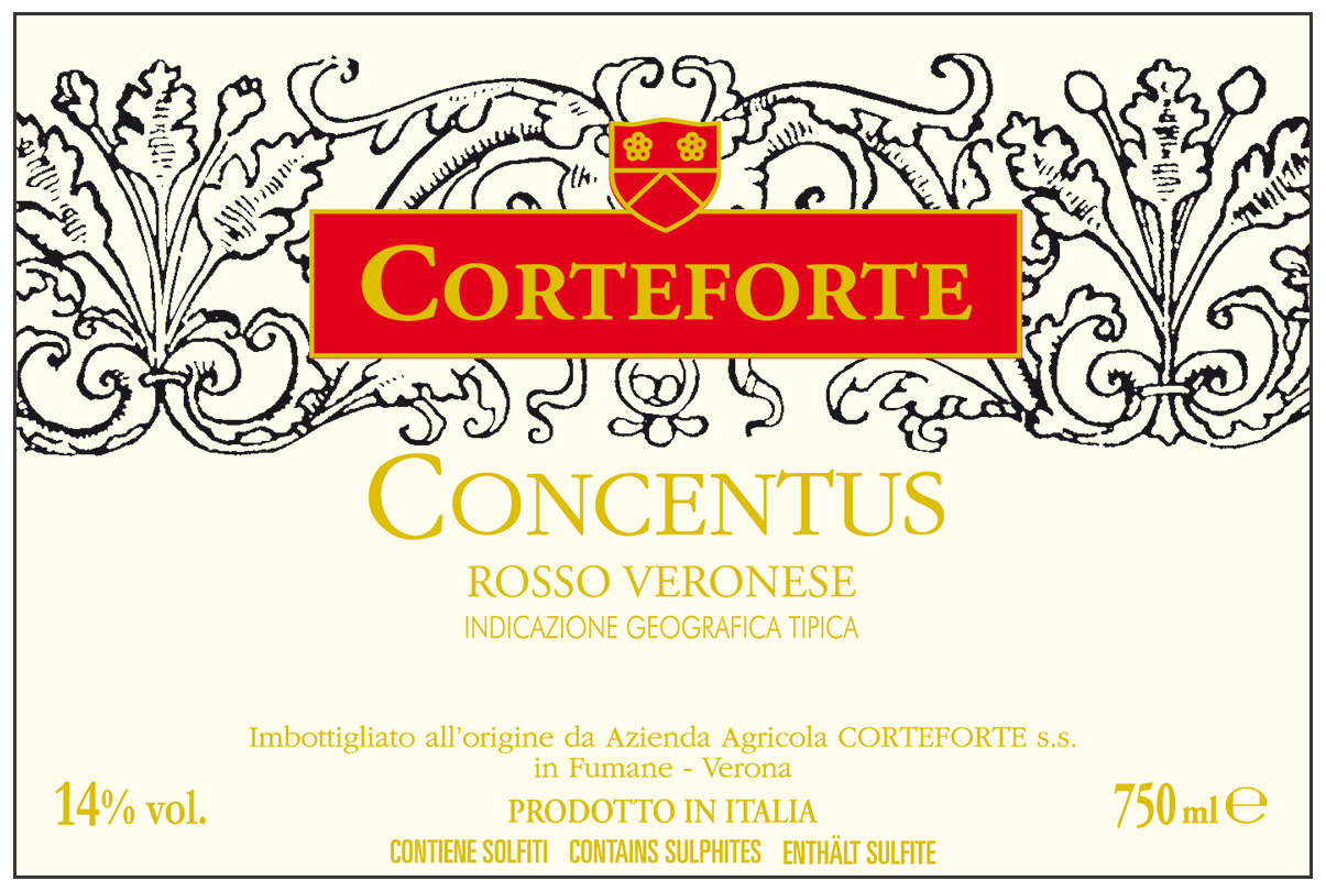 Concentus Igt Veneto 2007