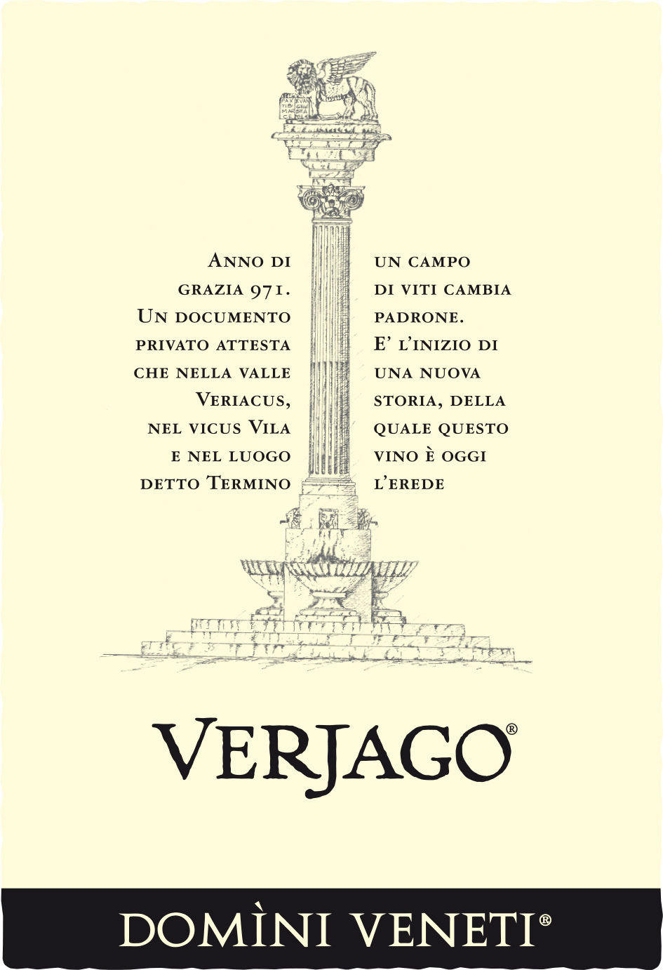 Domini Veneti Verjago Valpolicella Doc Classico Superiore 2007