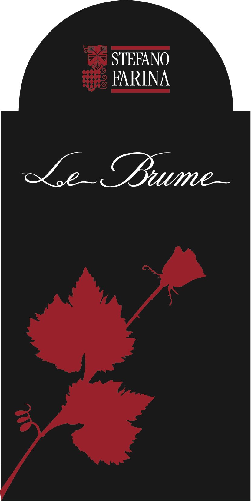 Le Brume 2010