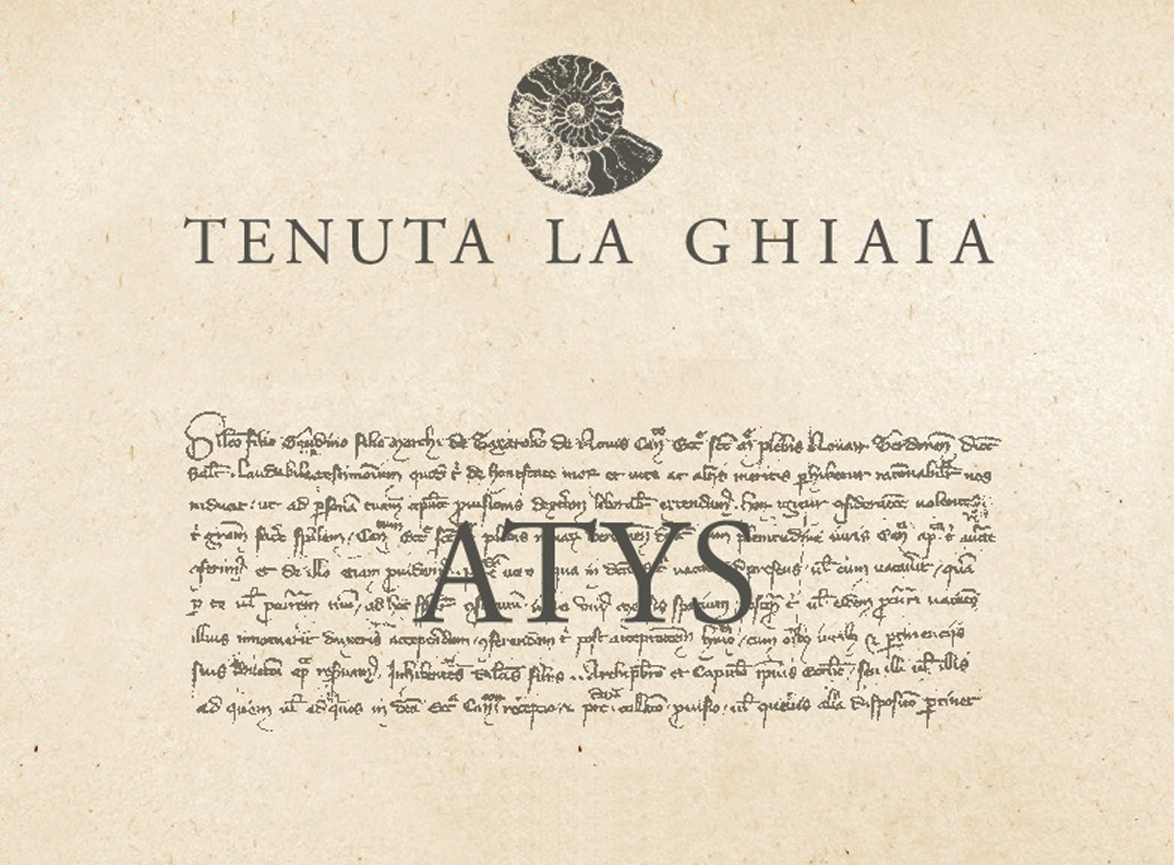 Vermentino Atys 2008