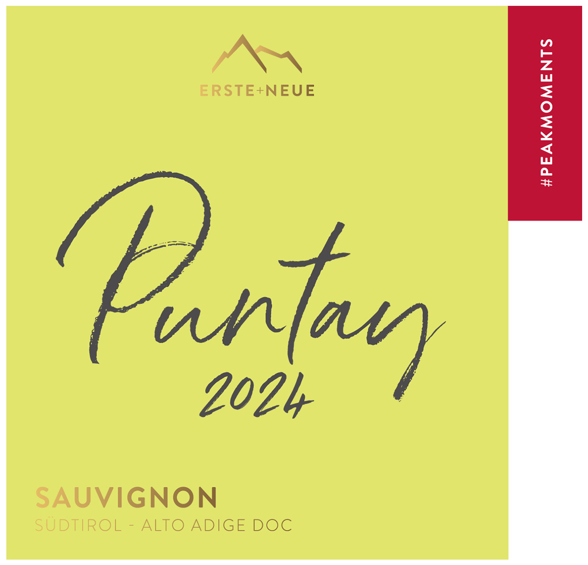 Puntay Sauvignon 2012