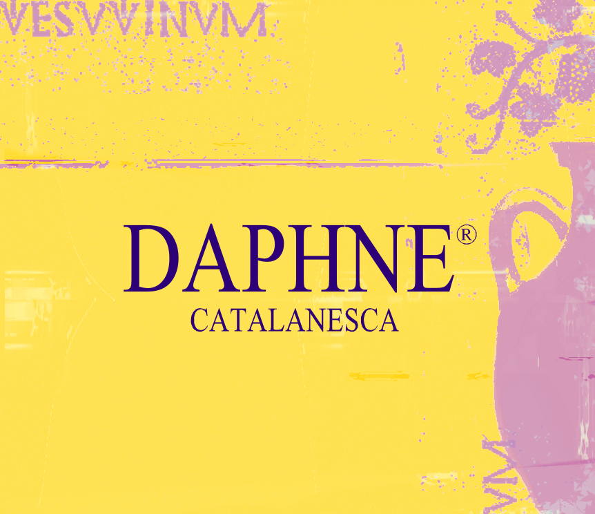Daphne Catalanesca 2007