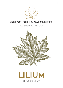 Lilium 2007