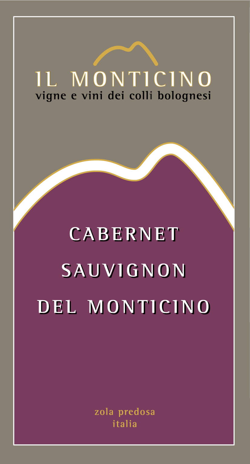 Cabernet Sauvignon del Monticino 2007