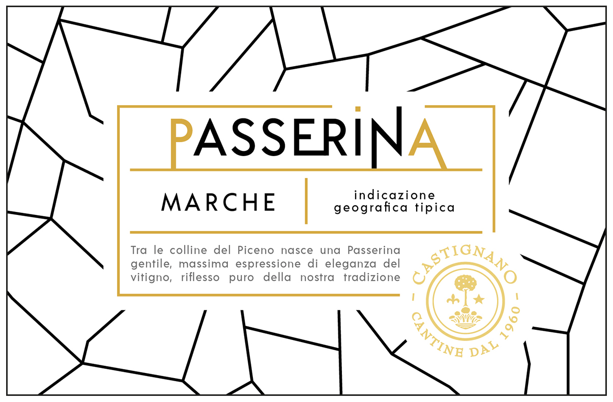 Passerina 2016