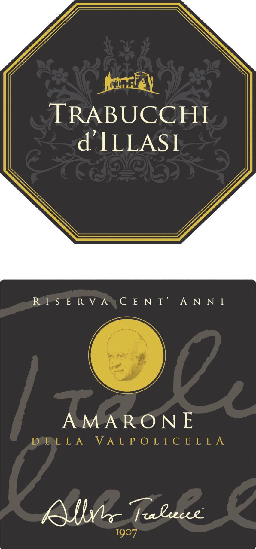 Amarone Riserva Docg Cent'Anni Alberto Trabucchi 2008