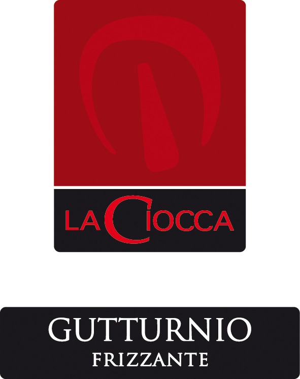 Gutturnio Frizzante Doc 2008