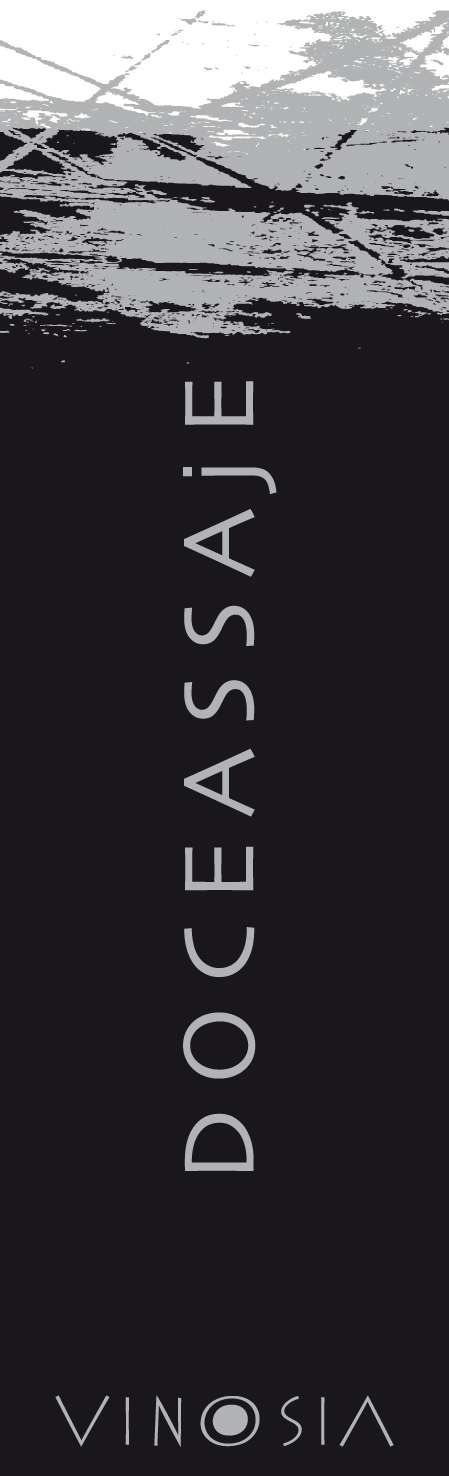 Doceassaje 2008