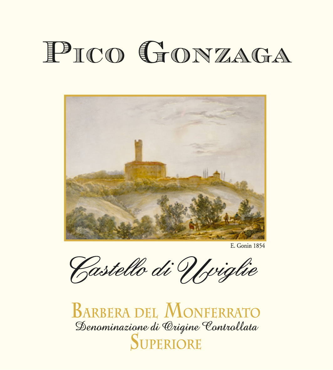 Pico Gonzaga Barbera Superiore 2004