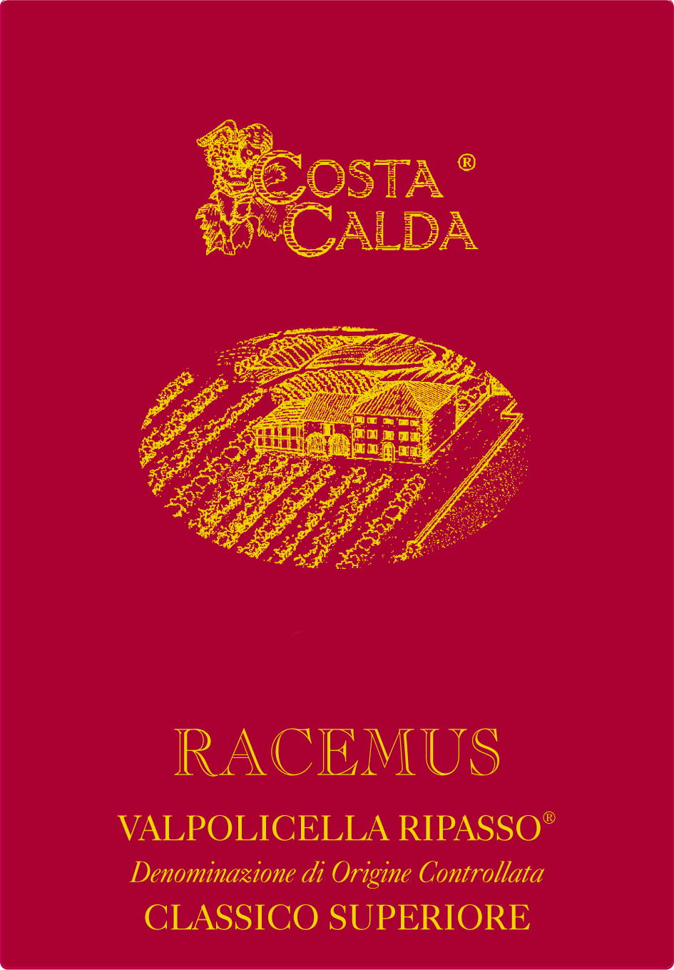 Valpolicella Ripasso Racemus 2004