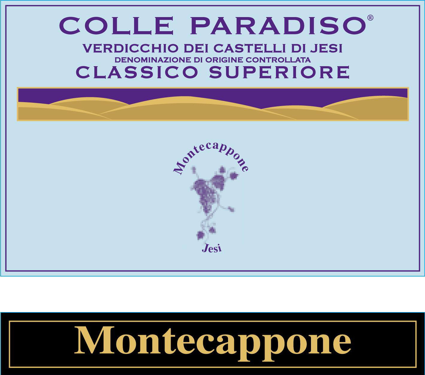 Verdicchio Classico 2016