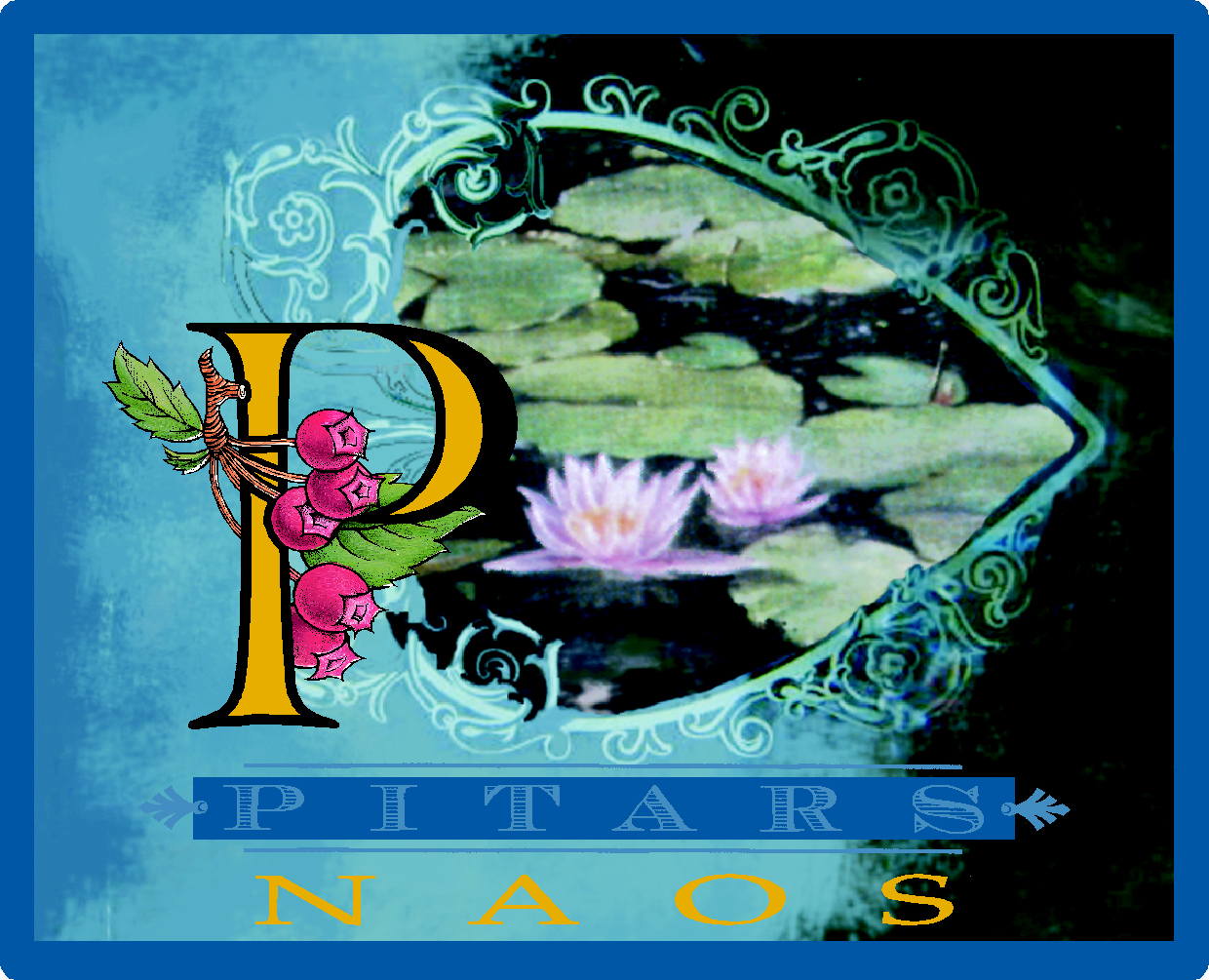 Naos 2004