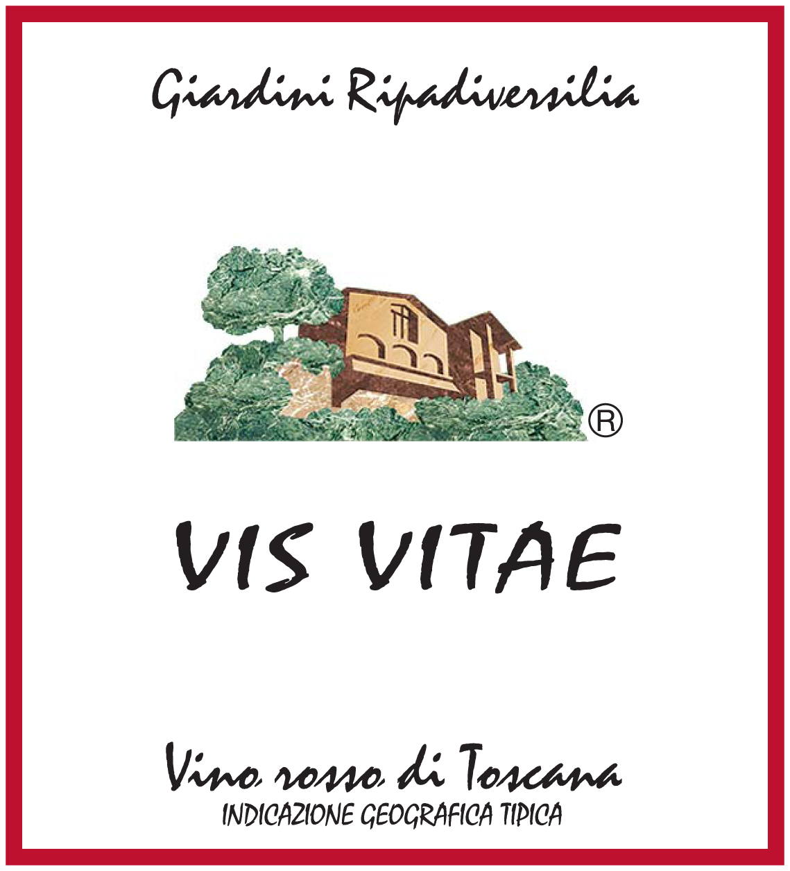 Vis Vitae 2006