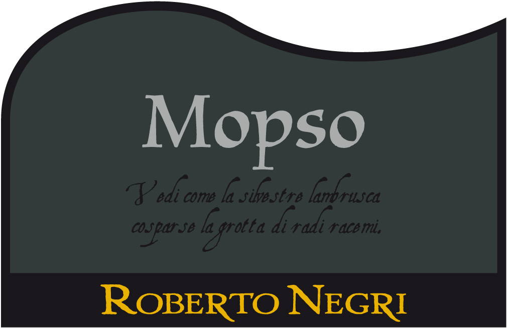 Lambrusco Mantovano Mopso Metodo Classico 2006