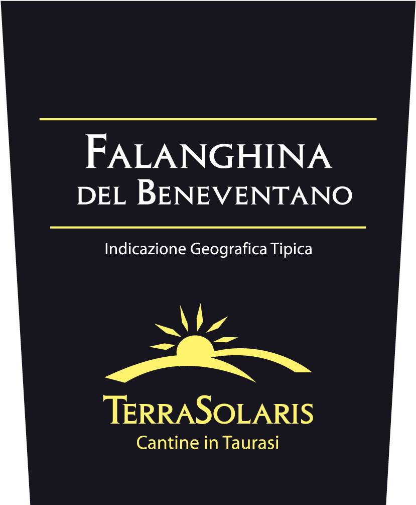 Falanghina del Beneventano 2007
