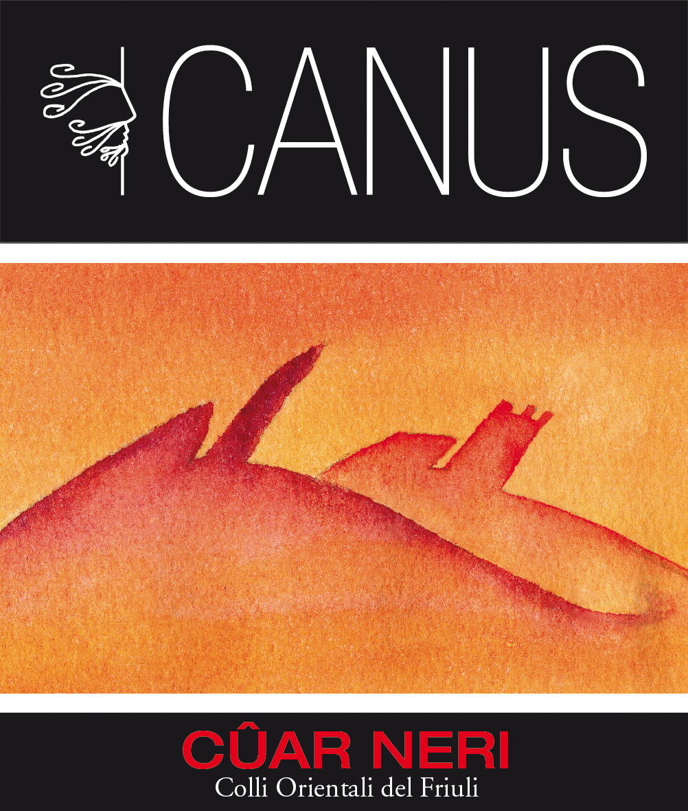 Cuar Neri 2005