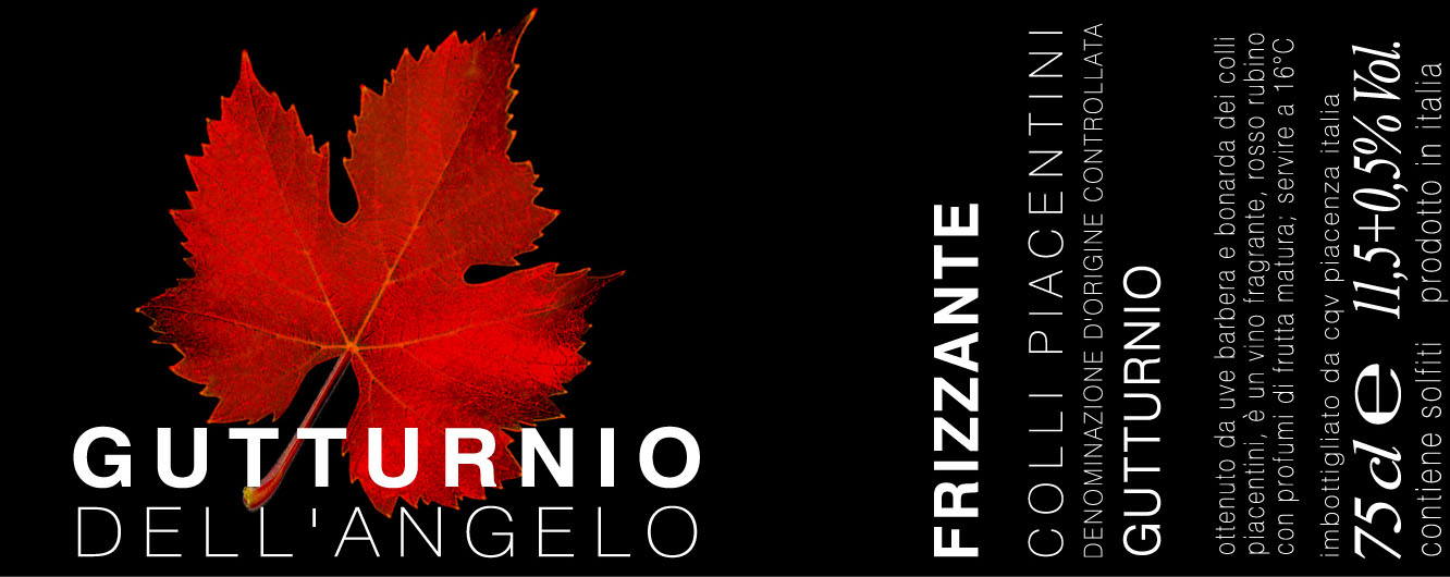 Gutturnio Doc dell'Angelo Frizzante 2008