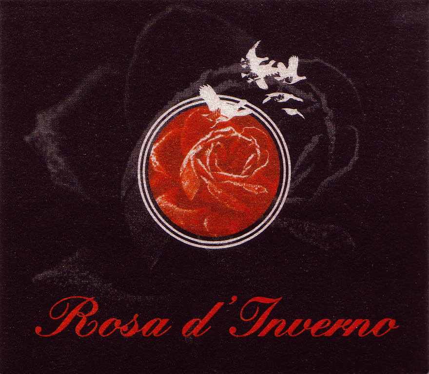 Rosa d'Inverno 2007
