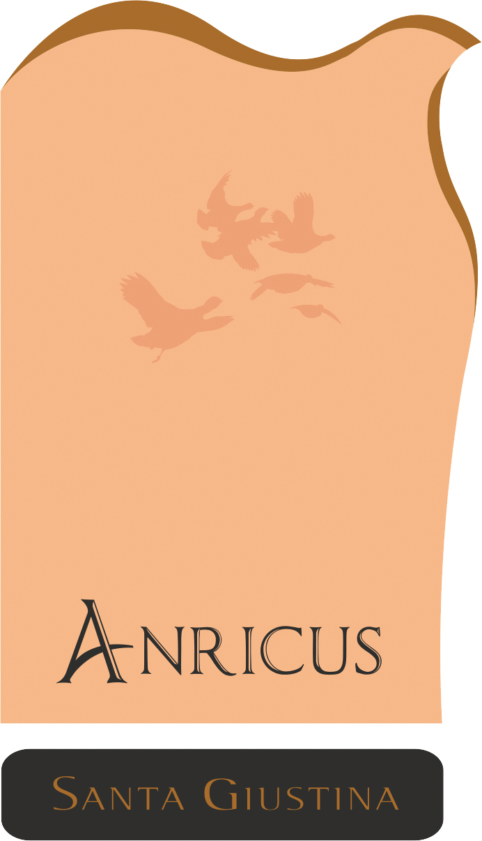 Anricus sa