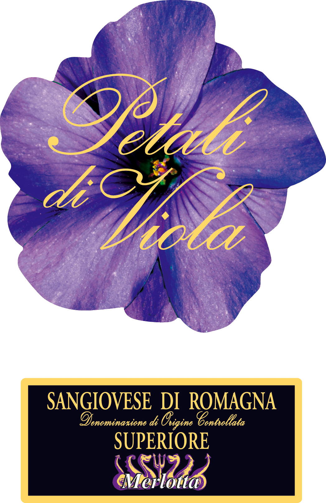 Sangiovese Superiore Petali di Viola 2013