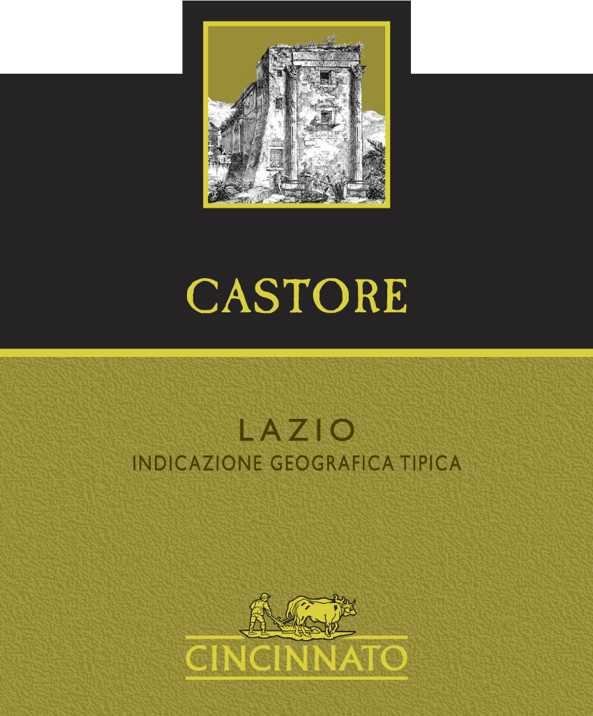Castore Igt Lazio 2009