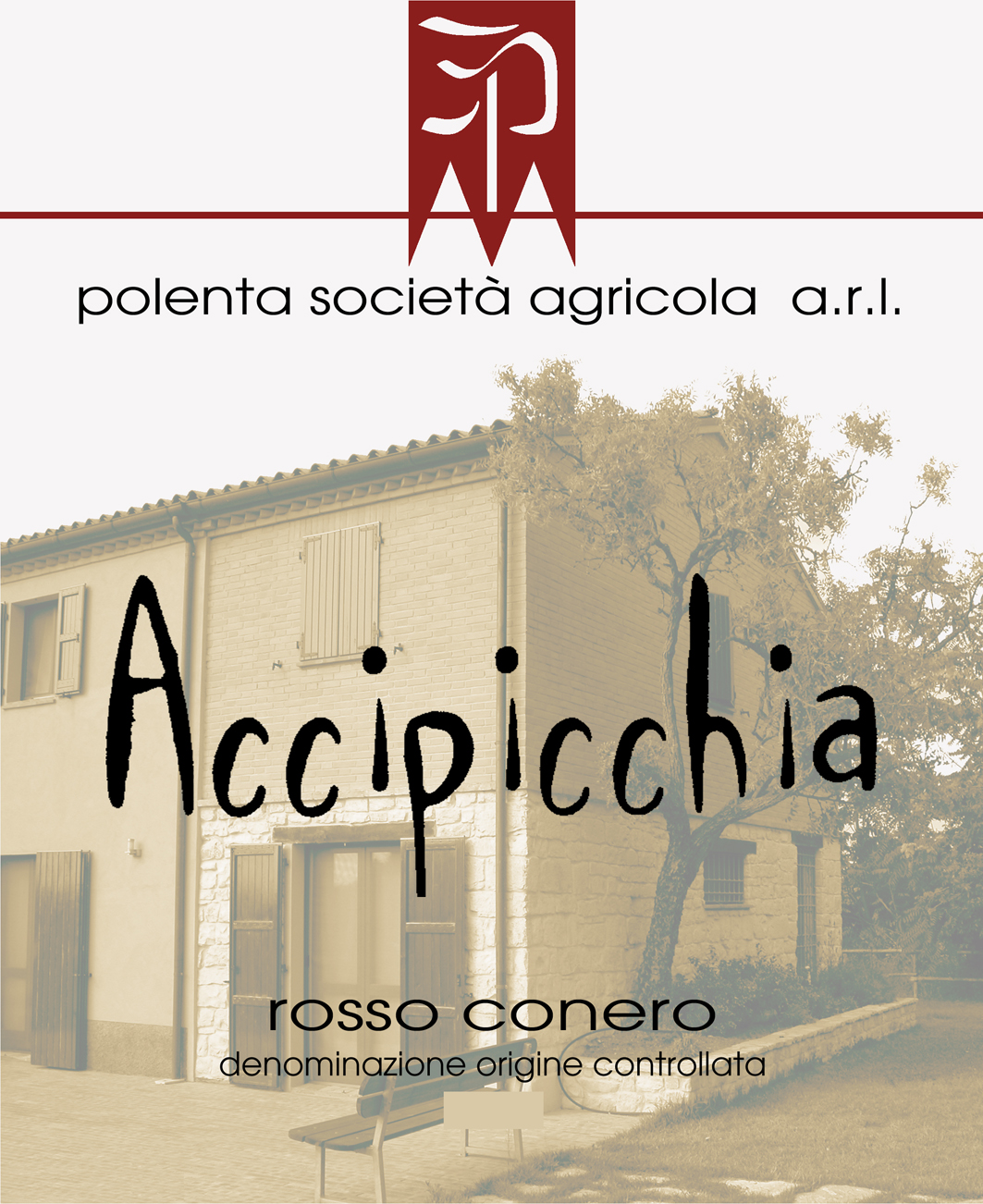 Accipicchia Rosso 2004