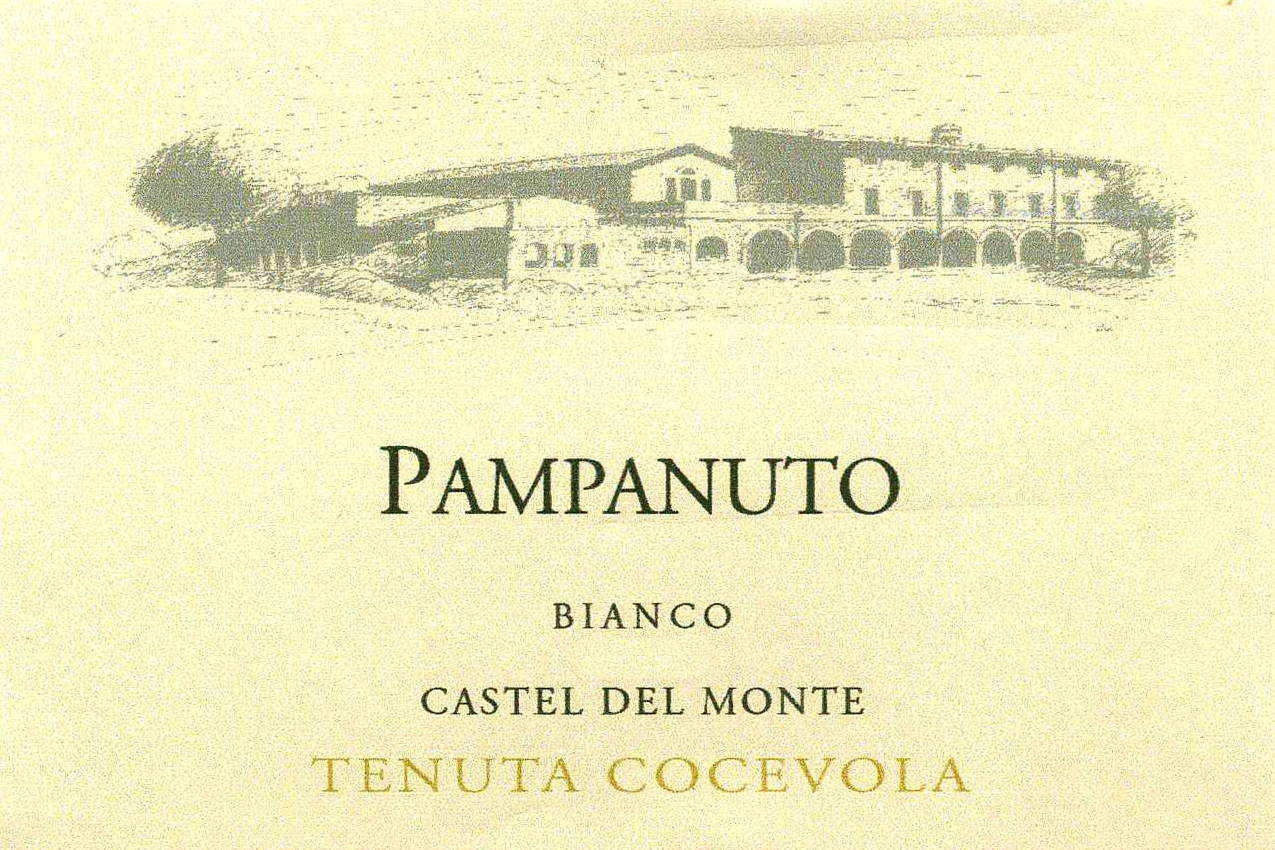 Pampanuto Bianco Tenuta Cocevola 2007