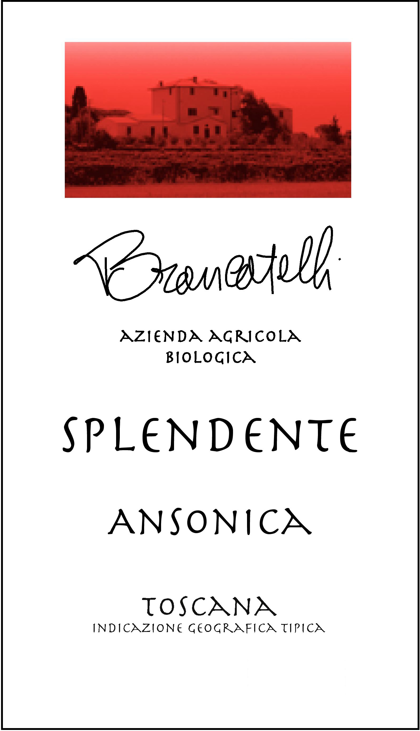 Splendente 2008