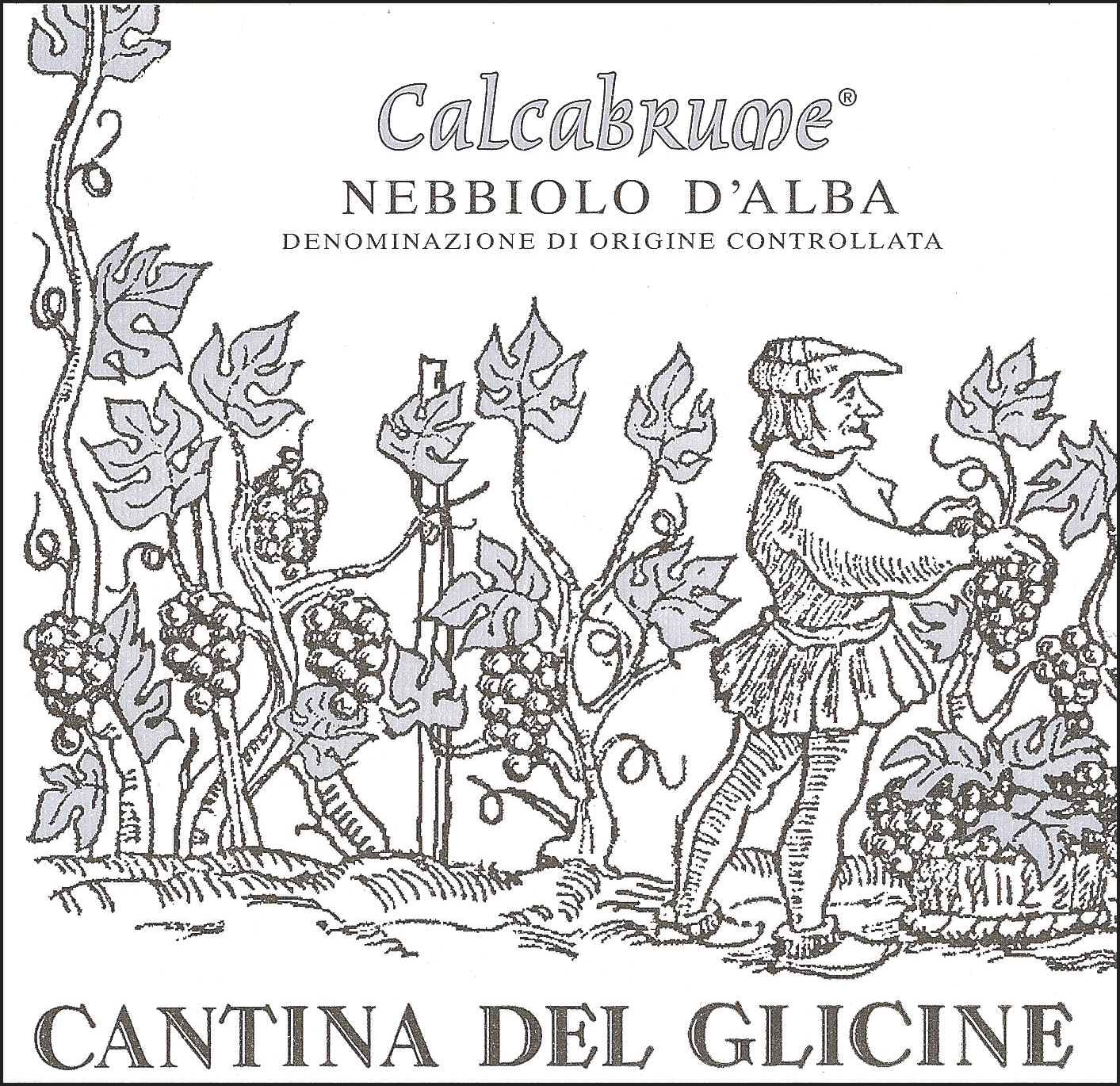 Nebbiolo d'Alba Calcabrume 2007