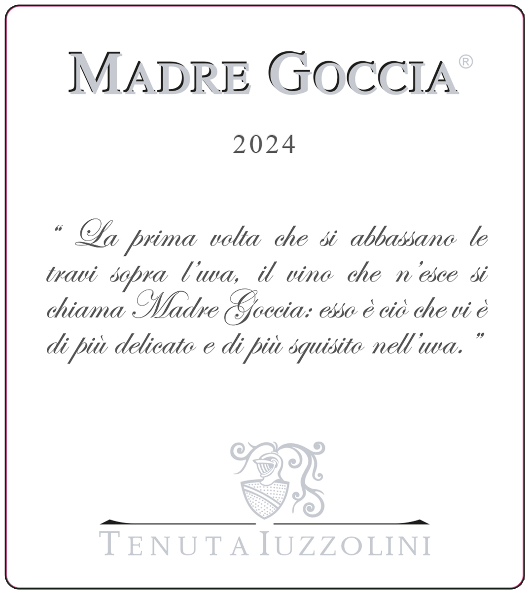Madre Goccia 2013