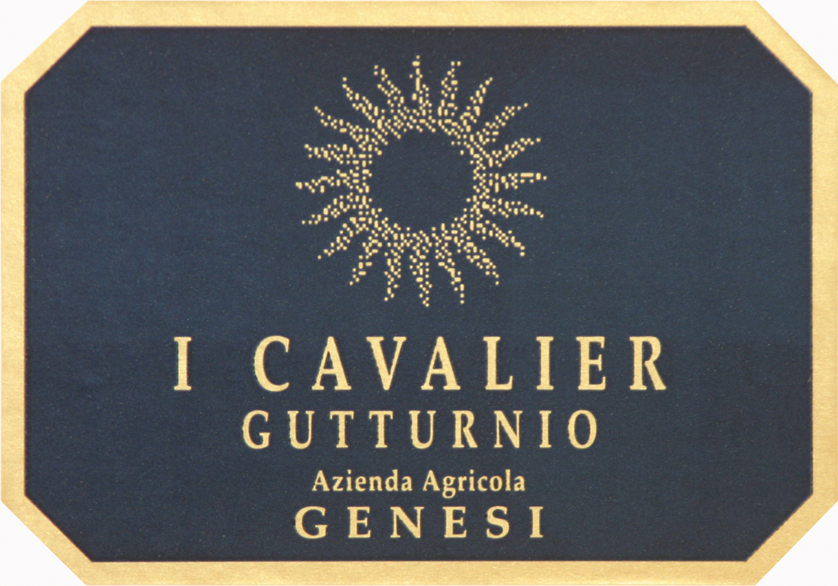 Gutturnio Doc I Cavalier 2008