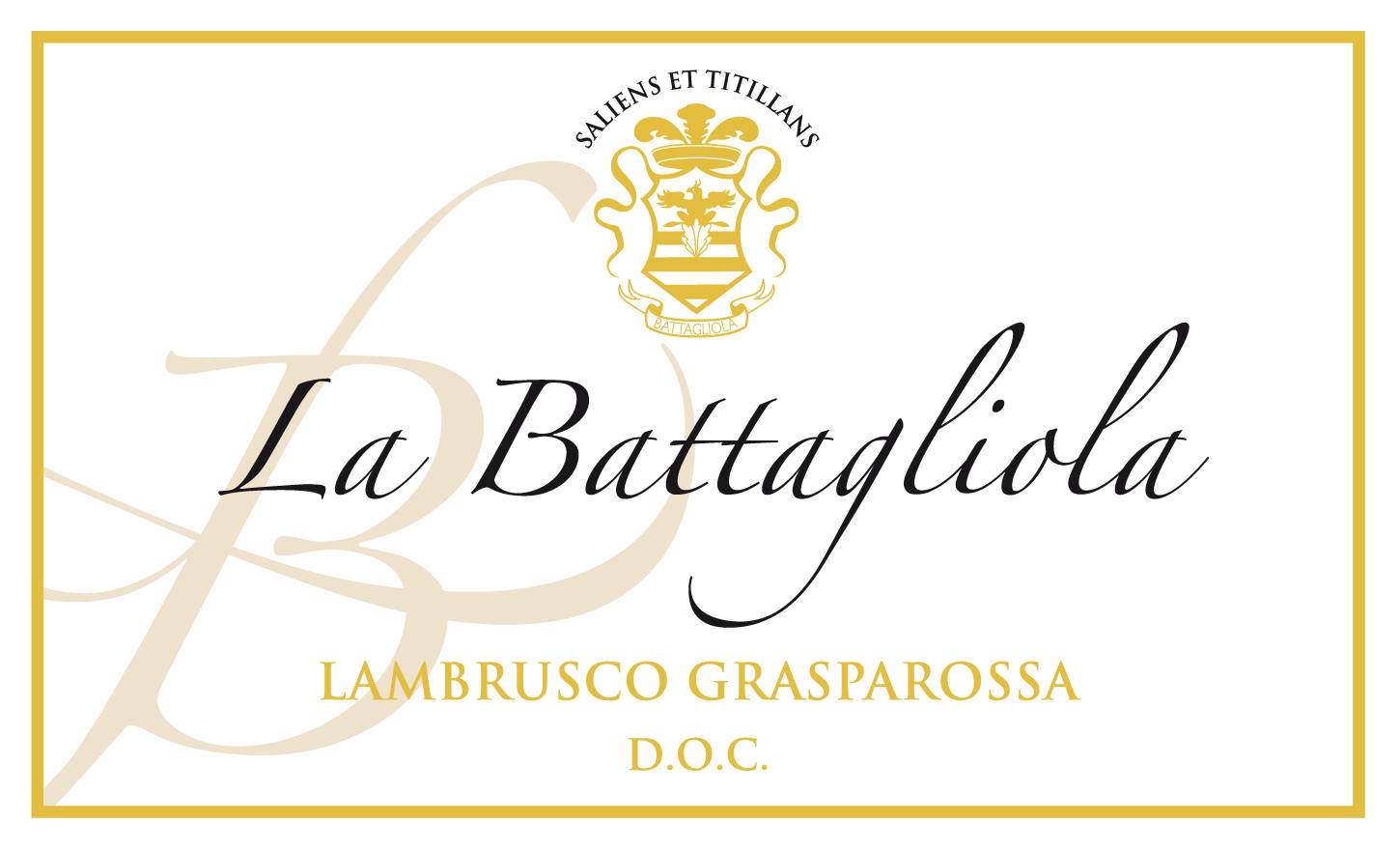 Lambrusco Grasparossa 2010