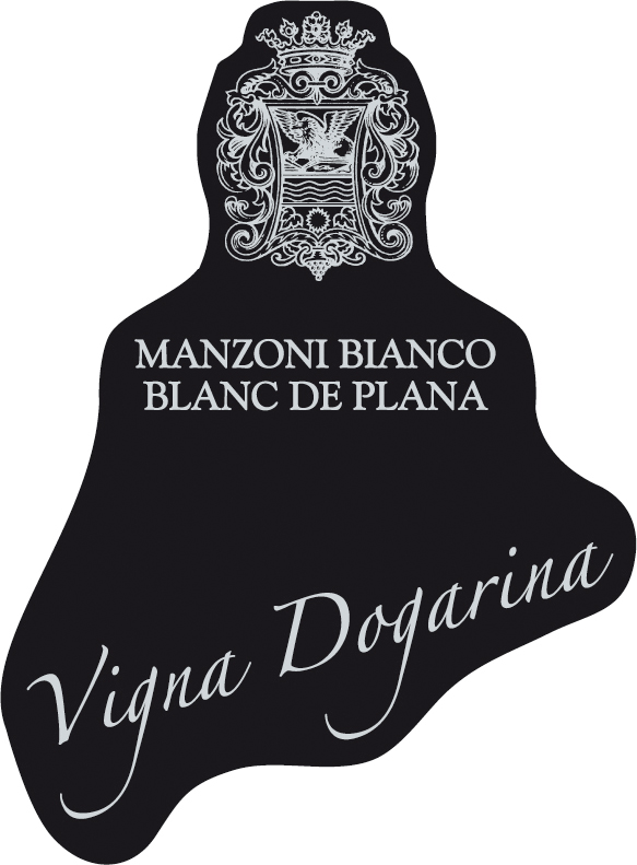 Blànc de Plana 2008