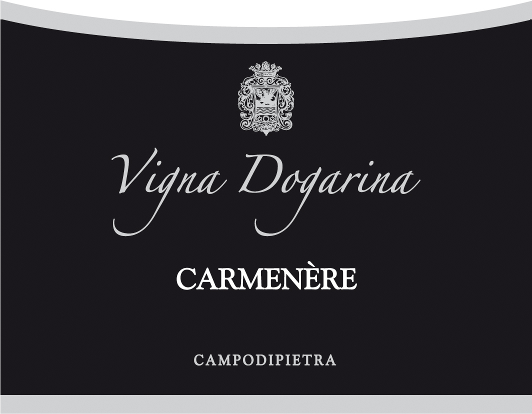 Carmenere Doc Piave 2010