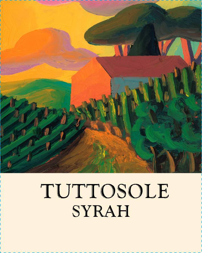 Syrah Tuttosole 2008