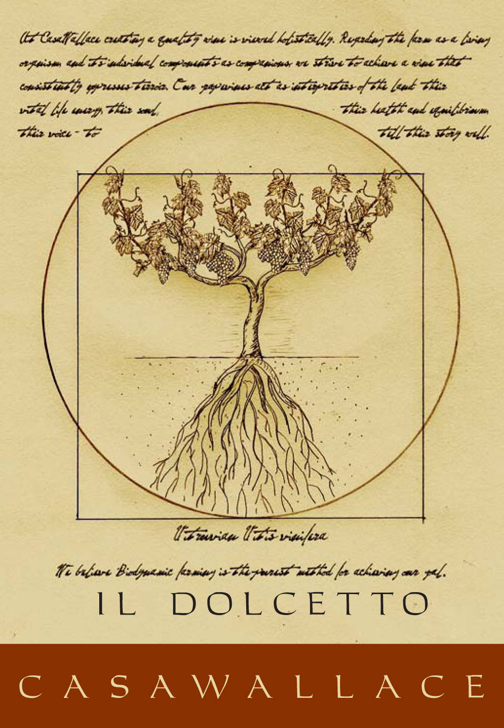 Il Dolcetto Biodinamico 2009