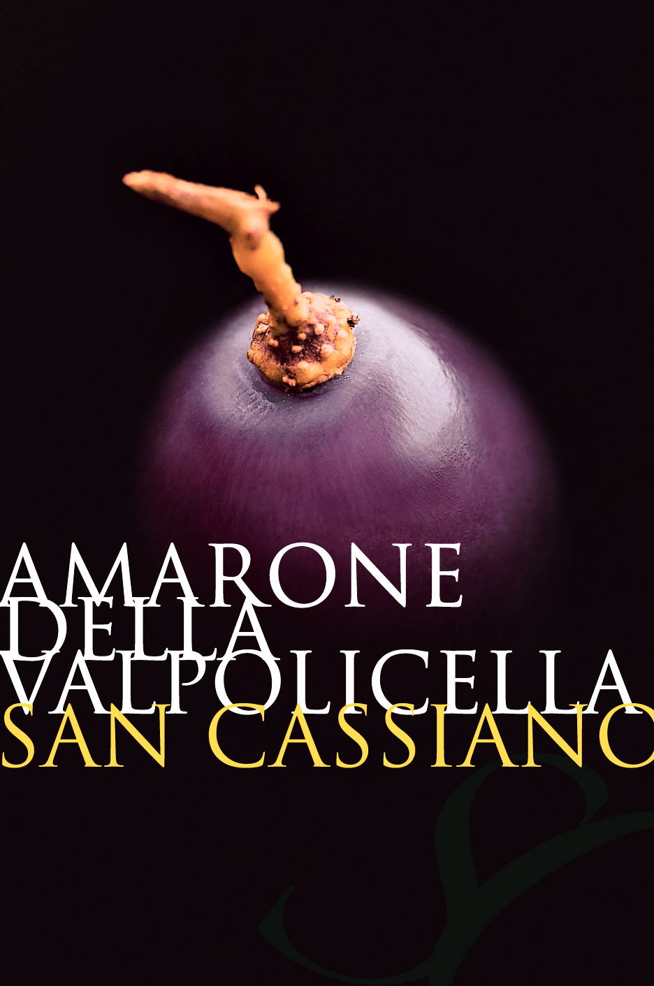 Amarone della Valpolicella 2012