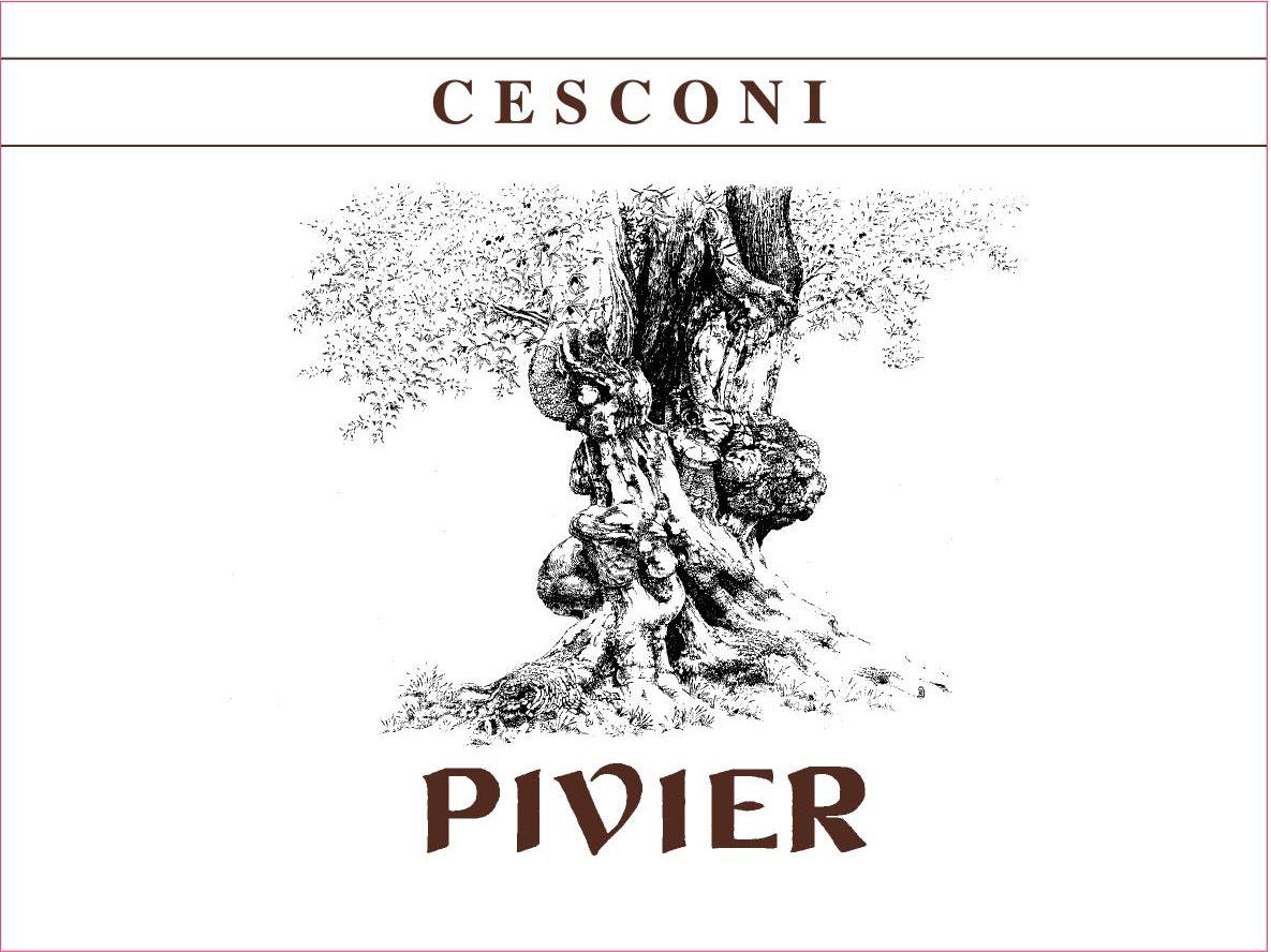 Pivier 2007