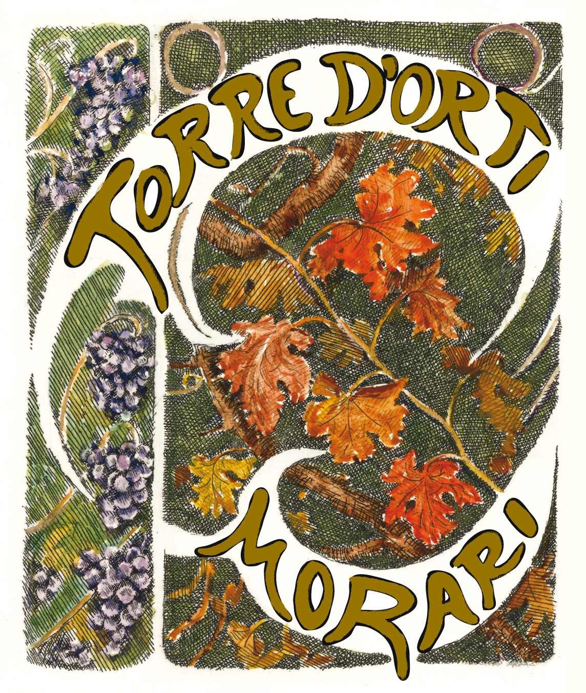 Valpolicella Superiore Torre d'Orti Morari 2013