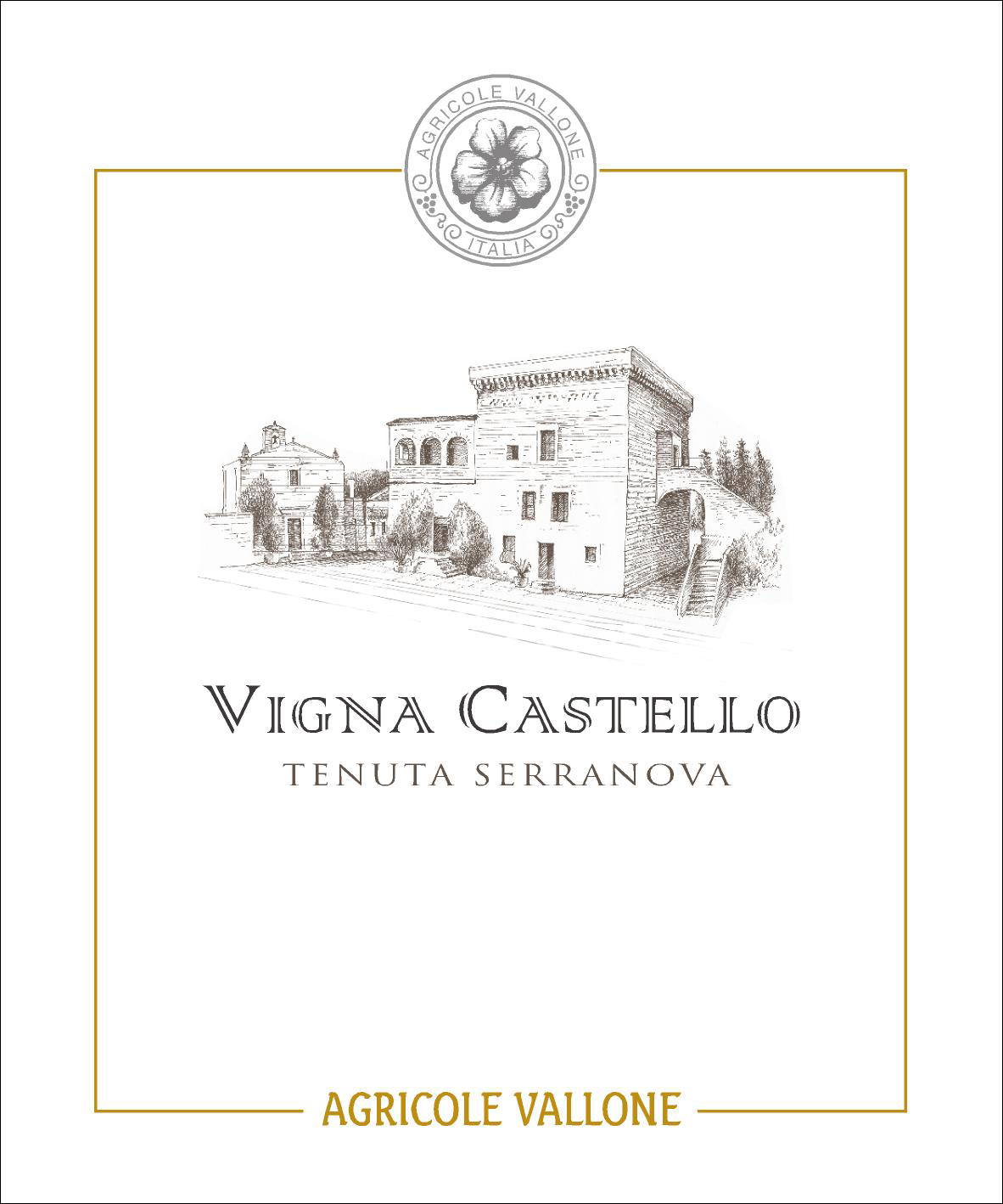 Rosso Igt Salento Vigna Castello 2008