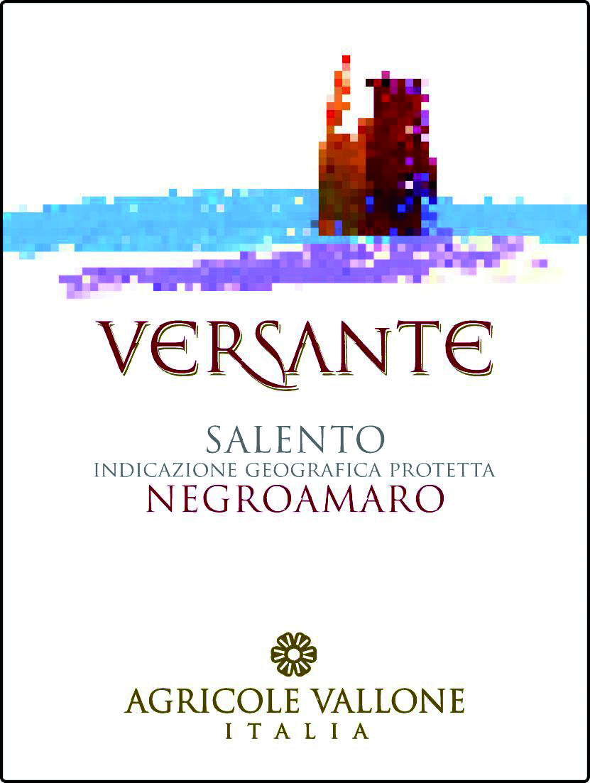 Negramaro Igt Salento Versante 2010
